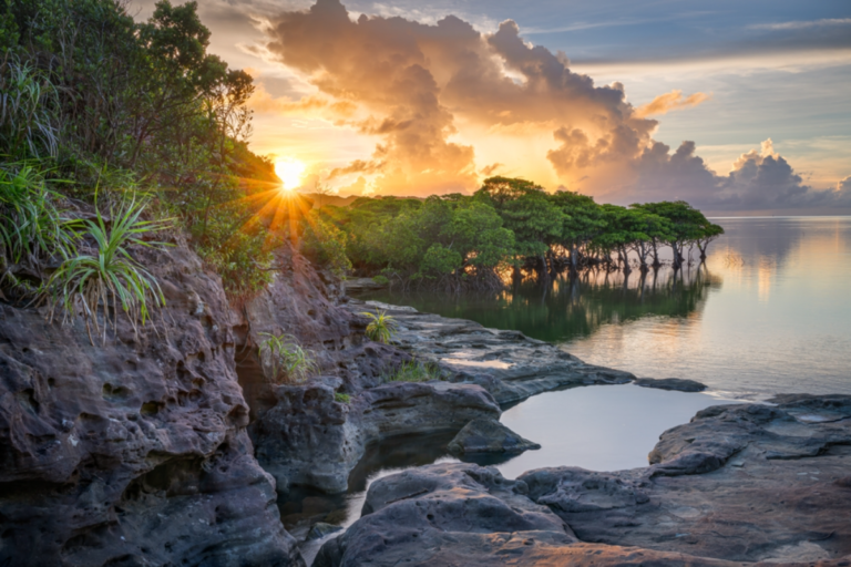 Blue Zone Okinawa launches wellness tour