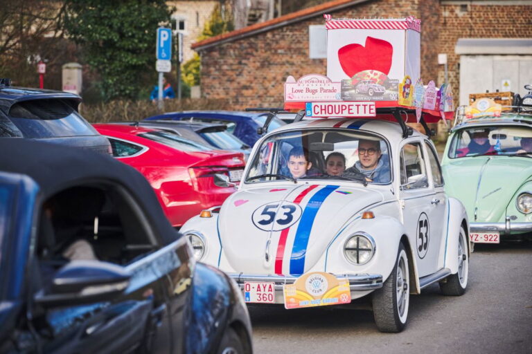 Love Bugs Parade in Brussels