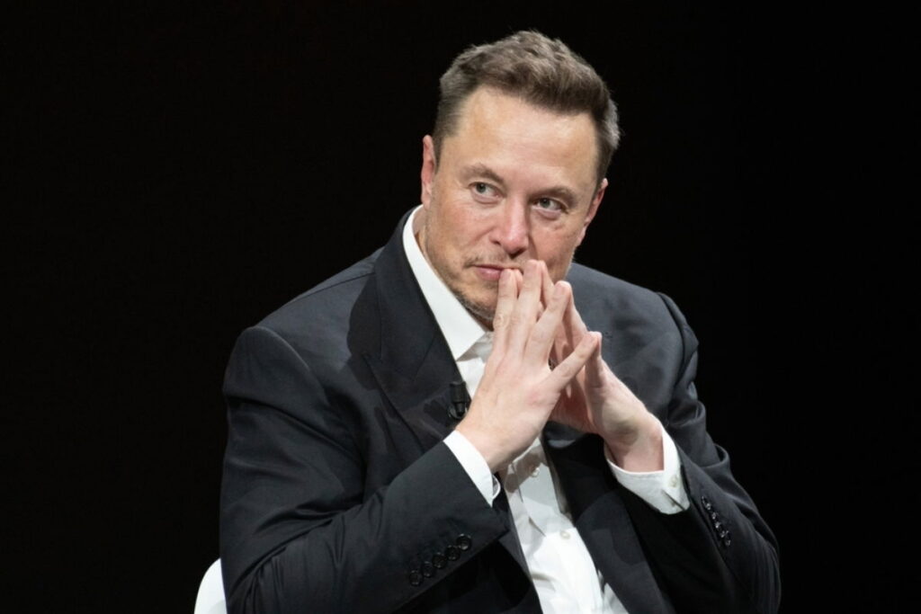 Is Elon Musk a genius or a madman?