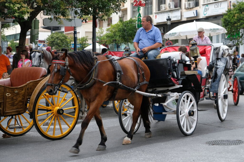 Horse-drawn Marbella faces new rules