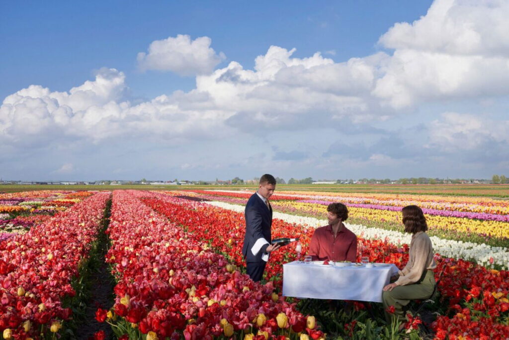 Luxury dining among the tulips