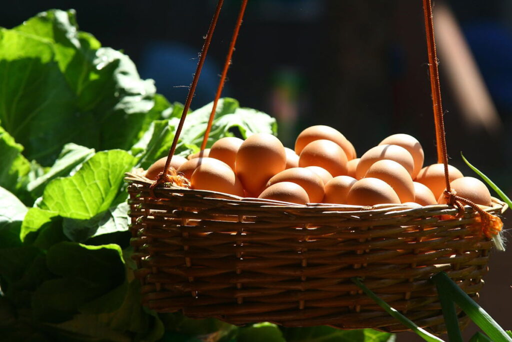Egg price surge in Mallorca