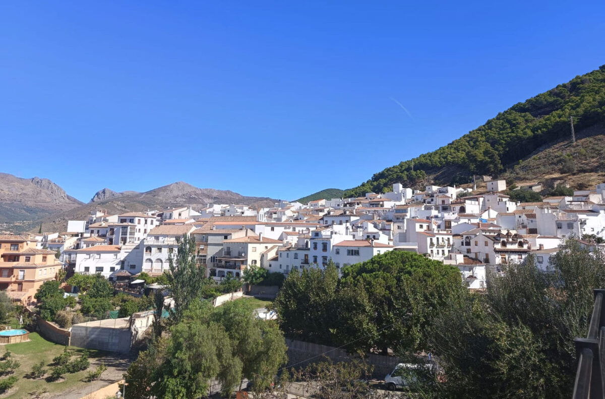 Horse Festival in Alcaucin