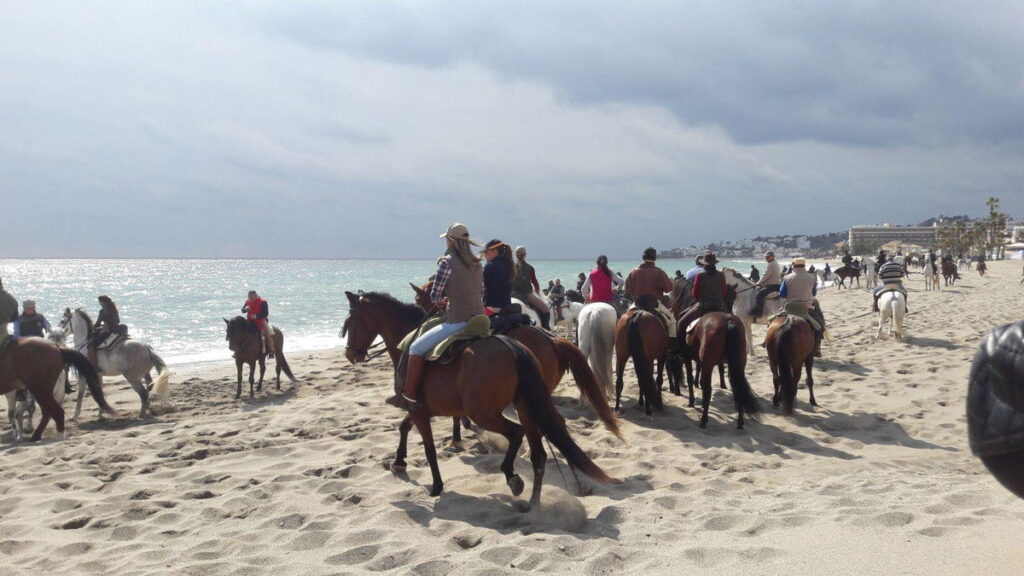 Mijas horses take to the beach