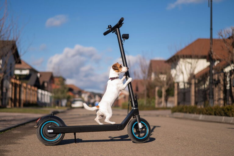 Costa Blanca cracks down on e-scooter safety
