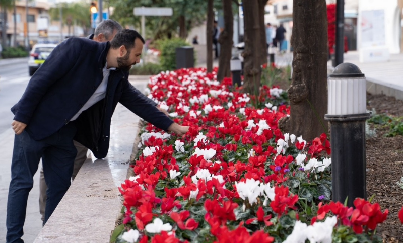 Benalmadena in bloom