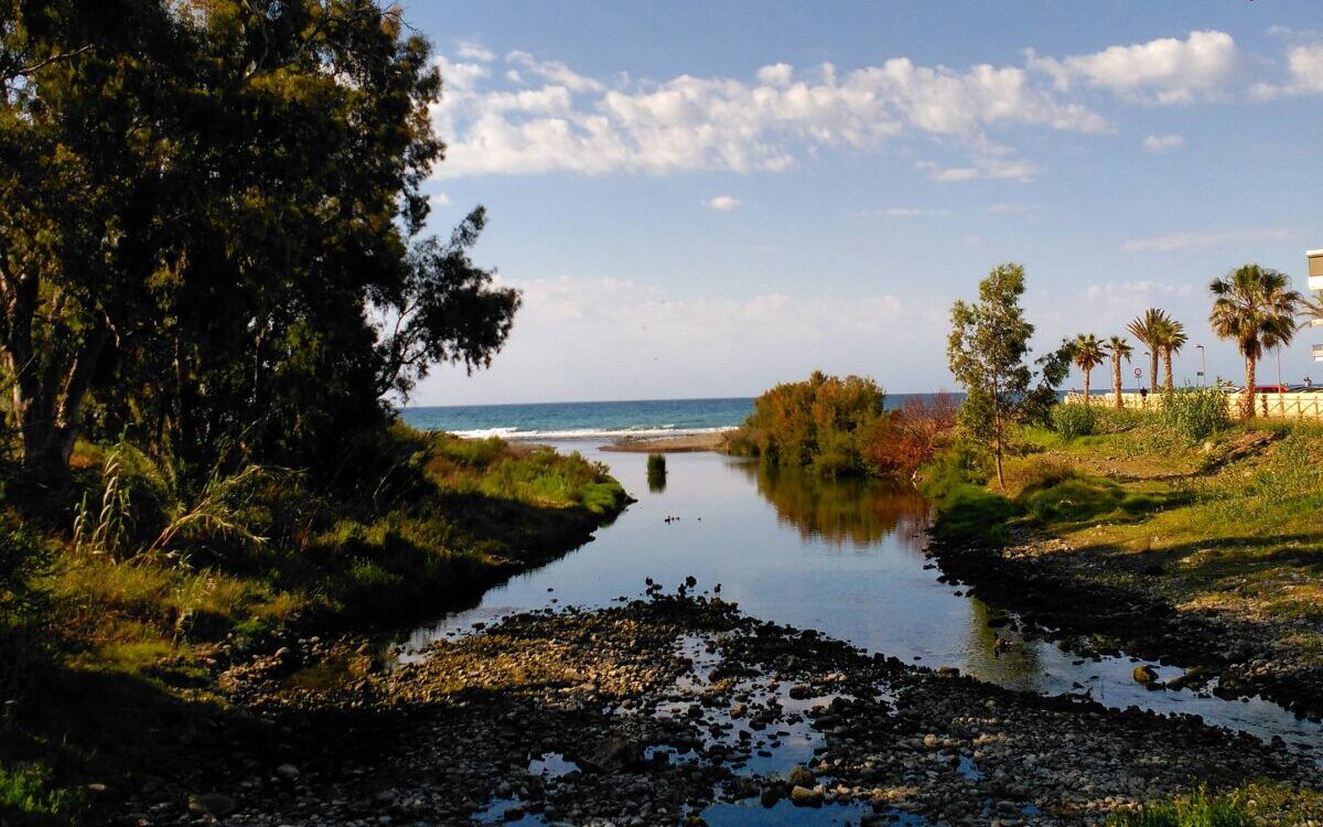 Marbella focuses on bringing back nature