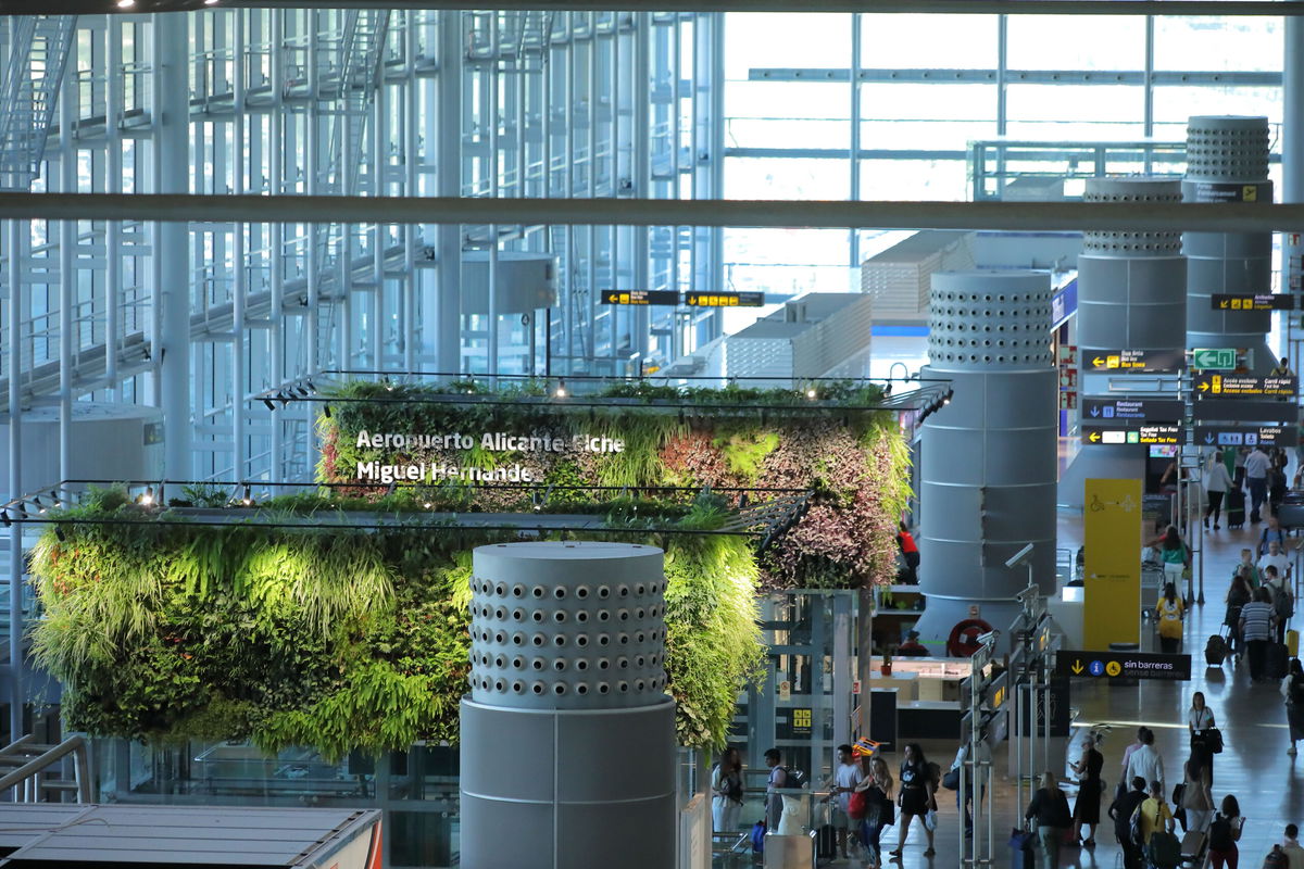 Airport traffic soars to new heights