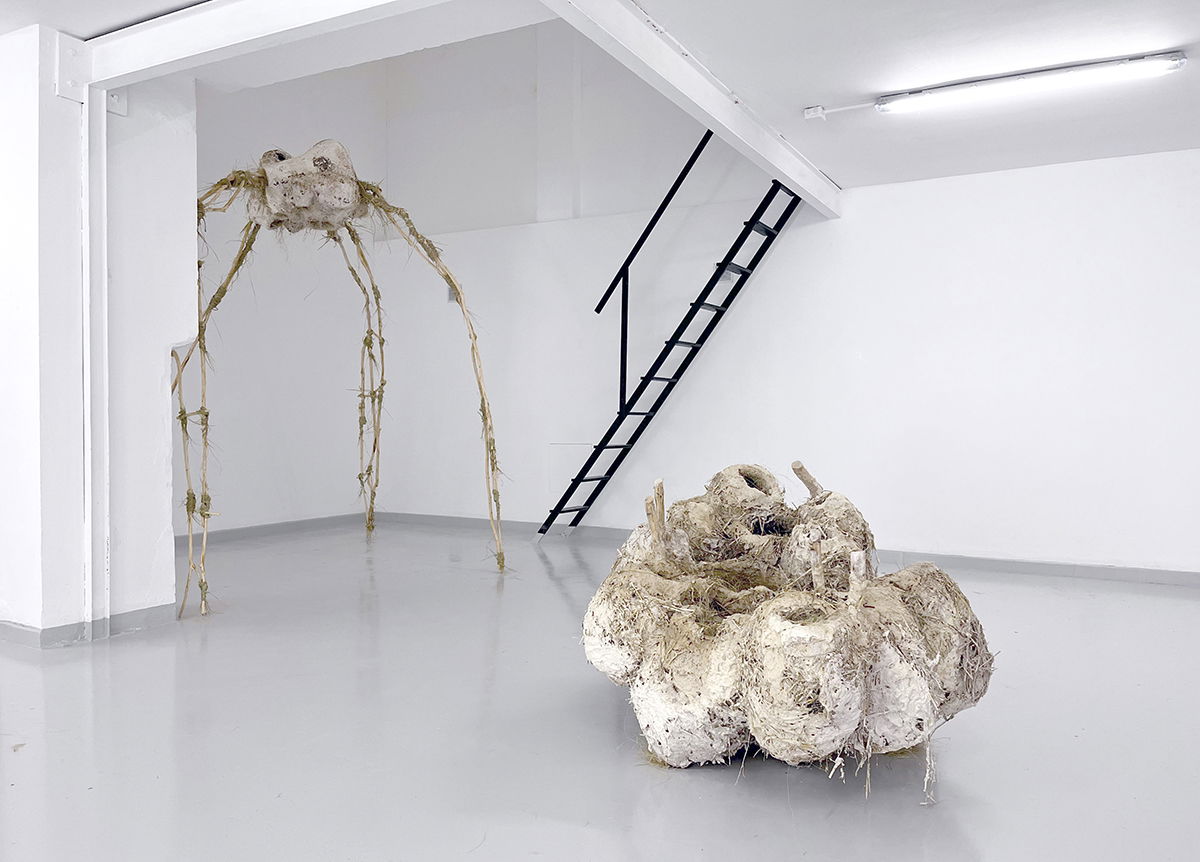 Reopening of Esblank