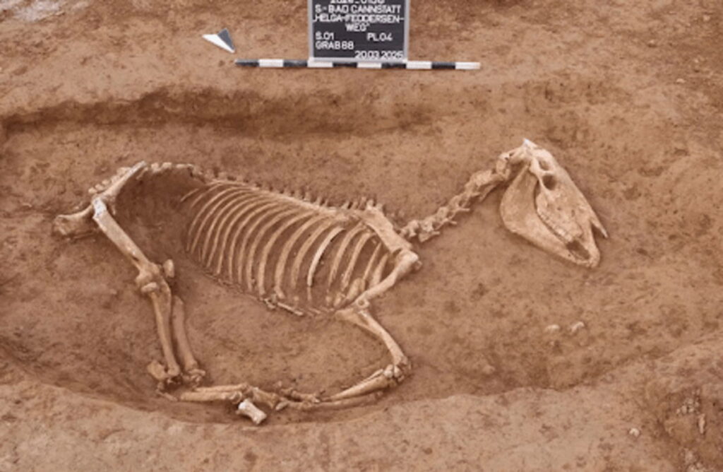 A Roman horse cemetery found in Stuttgart
