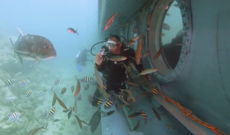 Tourist sub sinks in Egyptian Red Sea resort