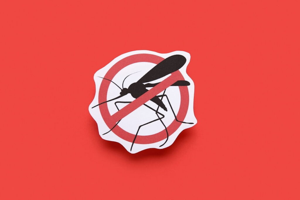 23 Smart Ways to Mosquito-Proof Your Life