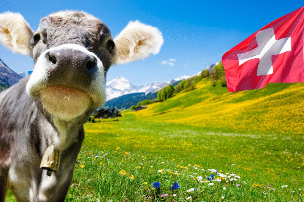 Too Annoying for Swiss Citizenship?