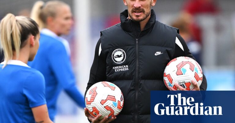 Brighton’s Dario Vidosic: ‘We want to challenge the establishment’