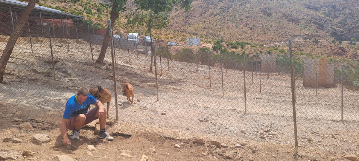 ADANA stays: no truth to eviction claims