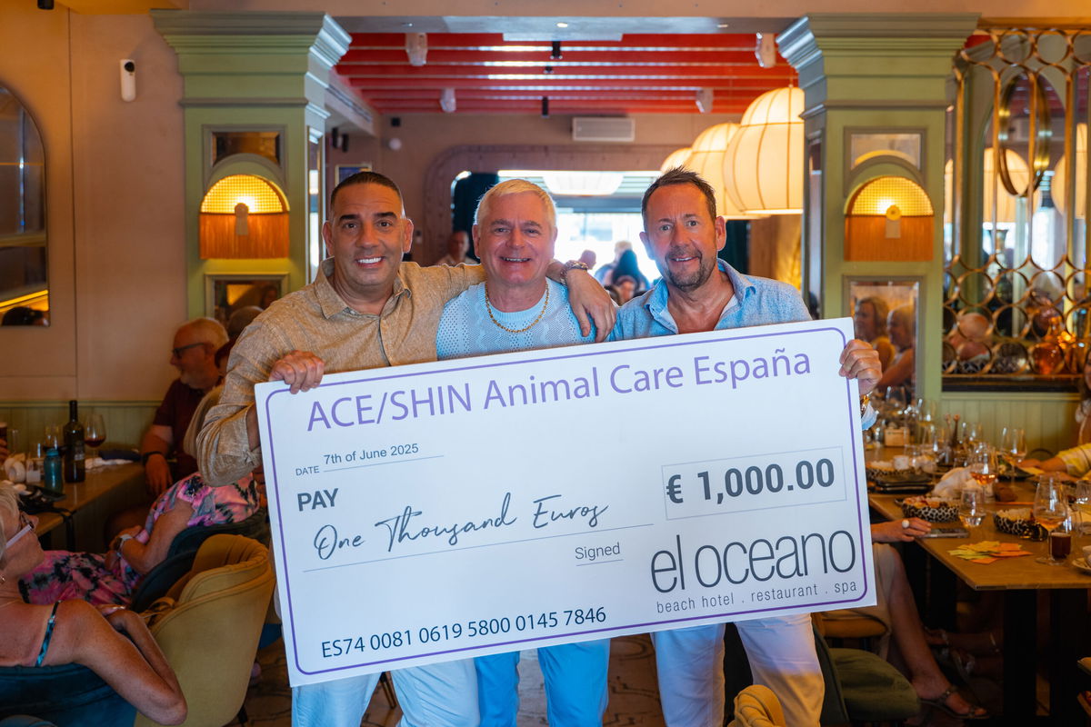 Tibbi’s Cyrano Shines for Ace-Shin