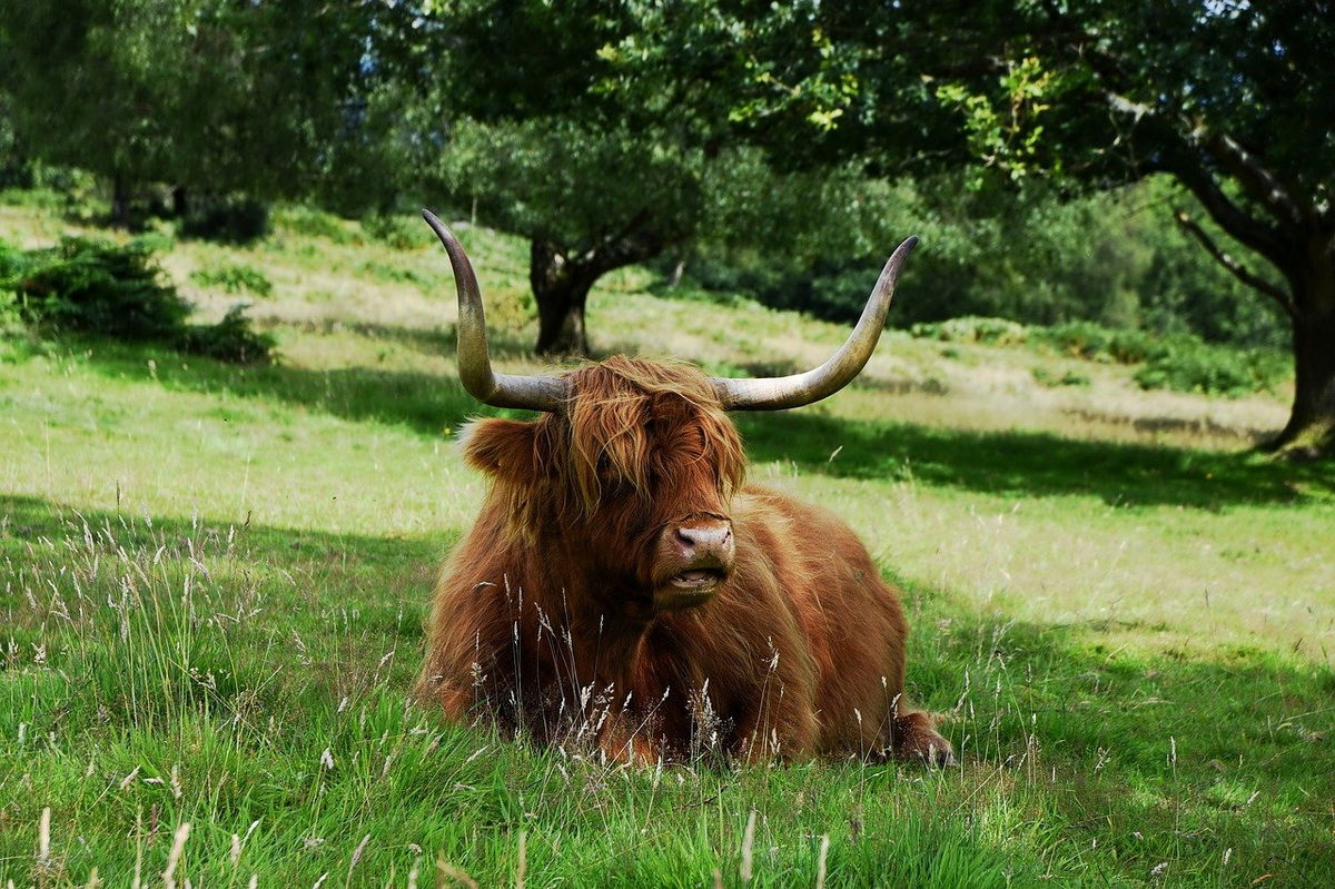 Rural Spain by campervan