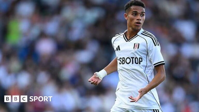 Fulham news: Who to to watch out for this season