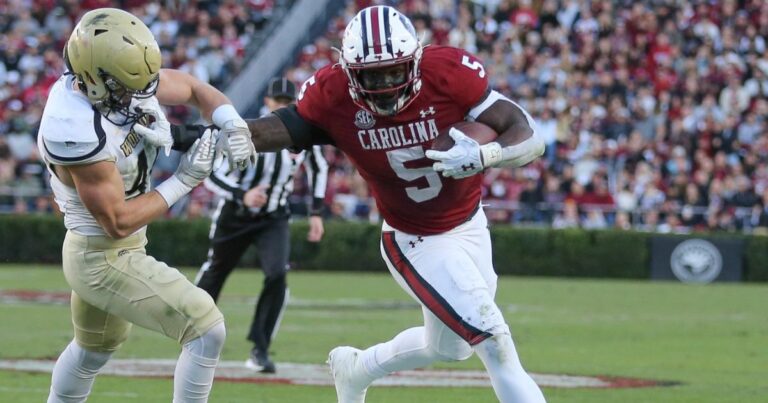 Former South Carolina star signs with new NFL team