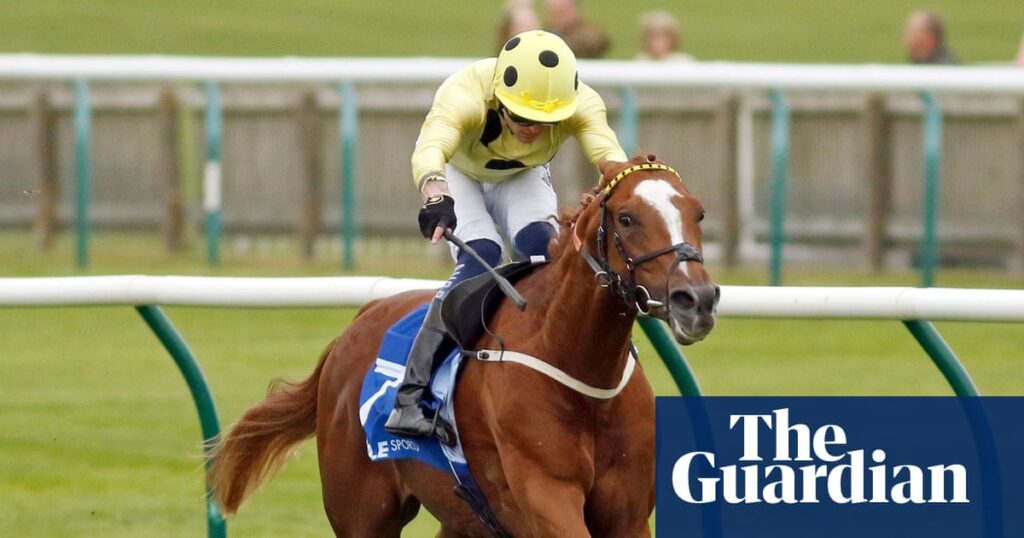 Zeus Olympios soaring to new heights with latest Newmarket romp