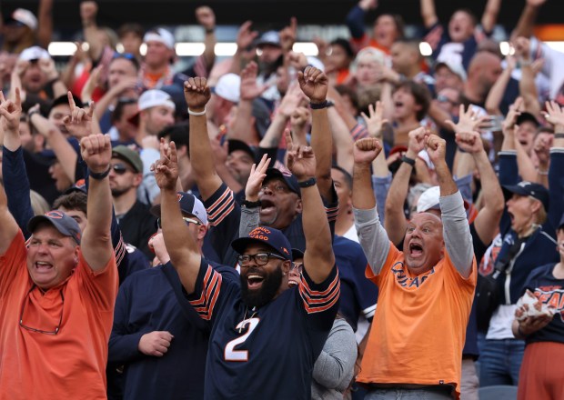 Bears fans celebrate a second interception by middle linebacker Tremaine...